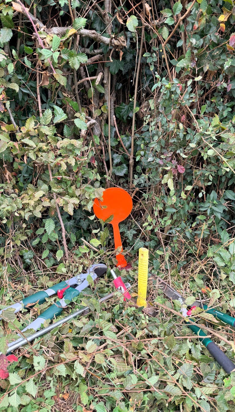 Division foncière : un exemple de partage entre voisins à Saint-Ouen-du-Tilleul dans l'Eure - Article GEO SEINE Géomètre-Expert Normandie